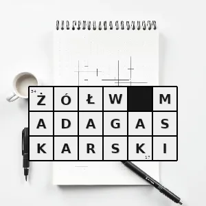 Hasło krzyżówkowe astrochelys yniphora gatunek gada z rodziny żółwi lądowych endemit madagaskaru jeden z najrzadszych żółwi lądowych na świecie - żółw madagaskarski – rozwiązanie, synonimy, podpowiedzi i definicje krzyżówkowe